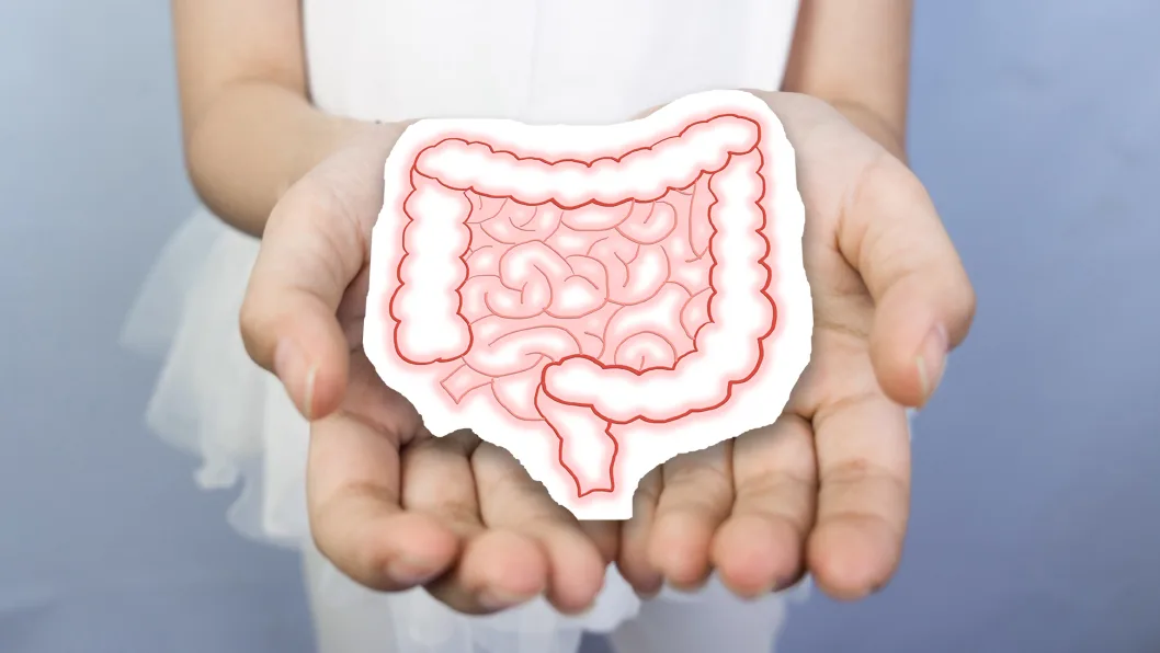 Hands holding an illustration of the colon and intestines representing colorectal cancer awareness and treatment options
