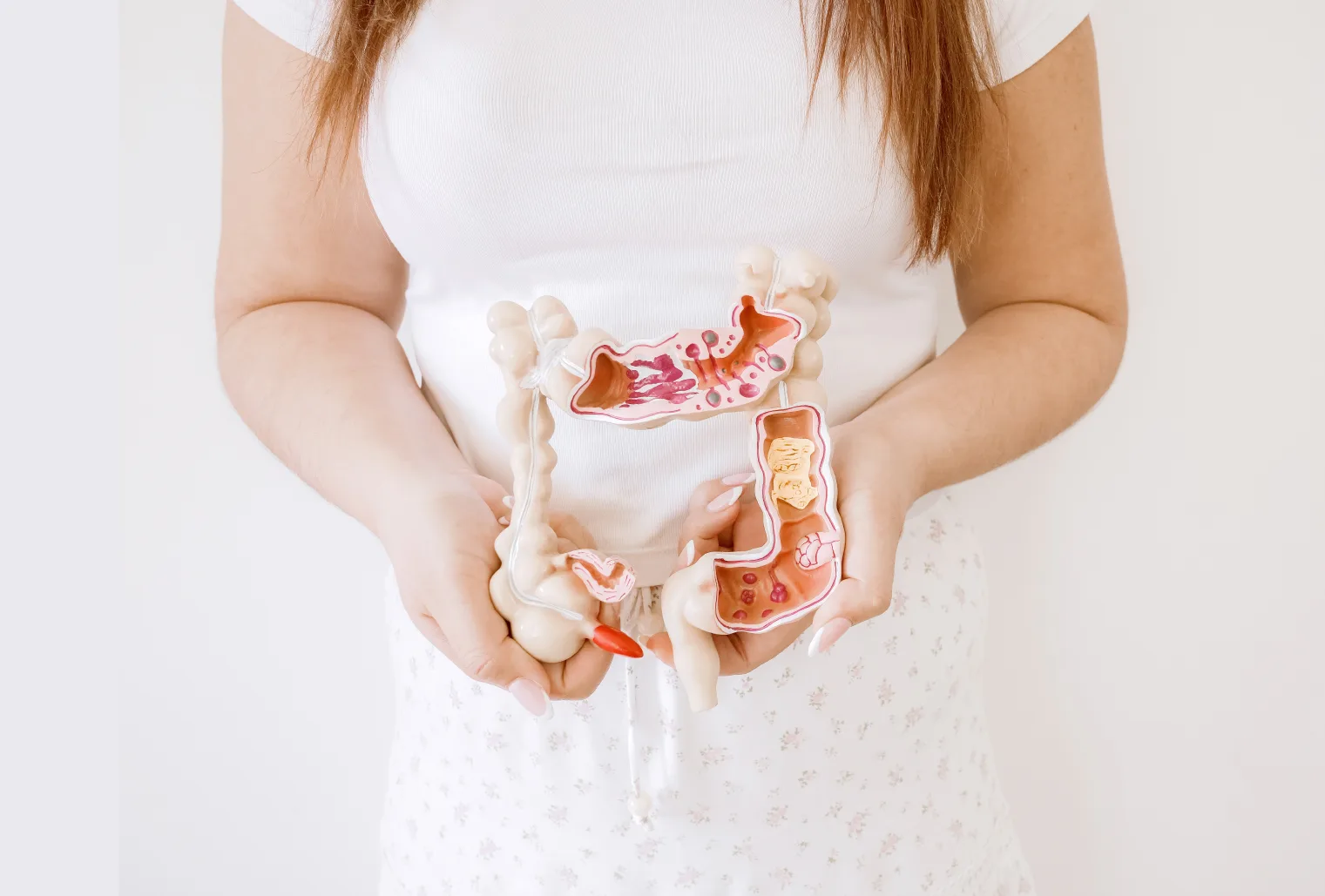 Person holding anatomical colon model illustrating colorectal anatomy and polyps during colorectal cancer education and consultation