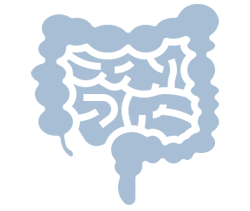 Inflammatory Bowel Disease (IBD)